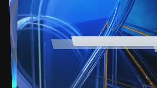 Pinewood Prep 2nd graders visit Rob Fowler at News2_2019