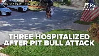 Pit bull attack leaves 3 injured in Riviera Beach