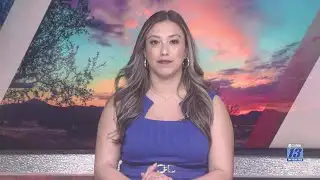 PIt bulls maul owner to death in Compton, California