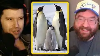 PKA Talks About Animals