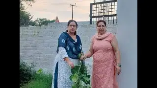 Plantation drive under "Ek Ped Maa Ke Naam" hold by Synergetic Green Warriors foundation