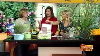 Planting Low Maintenance Perennials in Your Yard