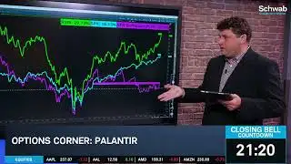 PLTR Technicals & Options Show More Bullish Support in Massive Rally