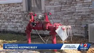 Plumbers working overtime during the Florida freeze