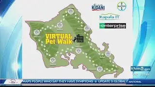 Poi Dogs & Popoki to host virtual pet walk