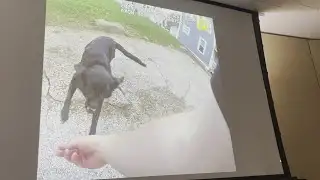 Police and dog experts react to fatal dog shooting