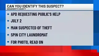 Police ask for public’s help to identify Albany theft suspect