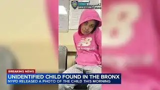 Police ask for public