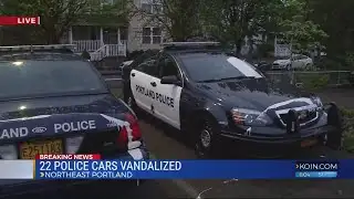 Police cars vandalized