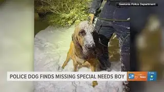 Police dog finds missing special needs boy