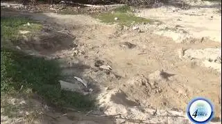 POLICE ID BODY AND SWEEP LOCAL HIVE SITES