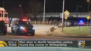 Police Investigating Shooting In North Versailles