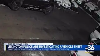 Police investigating vehicle theft