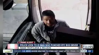 Police look for man who punched RTC driver