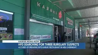 Police search for Aiea burglary suspects