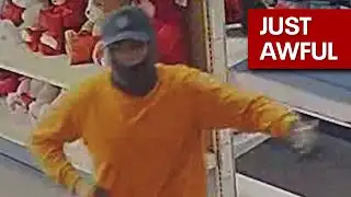 Police search for toy store robber
