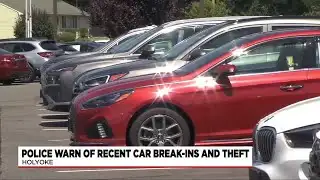 Police warn of recent car break-ins and theft