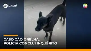 Polícia conclui inquérito sobre morte do cão Orelha | #SBTManhã