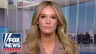 Politicians are using ICE agents as ‘POLITICIAL PAWNS’: DHS official