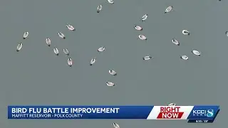 Polk County officials urge caution as bird flu cases decline