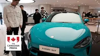 Poll suggests most Canadians welcome more Chinese EVs