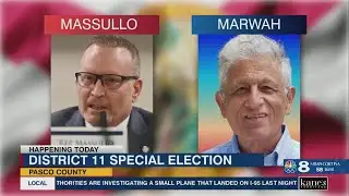 Polls open for special election to replace Ingoglia in State Senate District 11