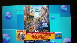 Pop News of Zootopia
