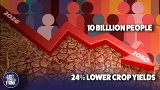 Population growth and a global food crisis.