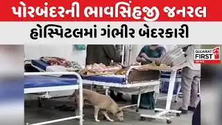 Porbandar : ભાવસિંહજી જનરલ હોસ્પિટલમાં ગંભીર બેદરકારી, દર્દીઓના વોર્ડમાં શ્વાનોના ખુલ્લેઆમ આંટાફેરા