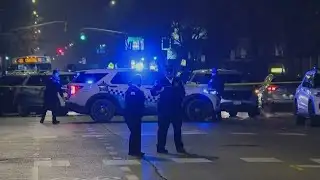 Portage Park mass shooting suspect held without bail