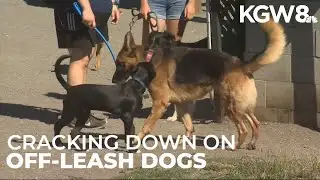 Portland cracks down on off-leash dogs