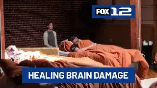 Portland study shows psilocybin may reverse traumatic brain injury effects