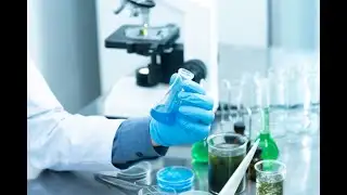 Positive News - New Eco Friendly Tech Eliminates Forever Chemicals With Record Breaking Speed