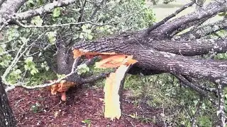 Possible tornado causes damage in Park West