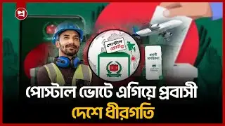 পোস্টাল ভোটে প্রবাসীদের সাড়া বেশি, দেশে অংশগ্রহণ কম | Postal Vote