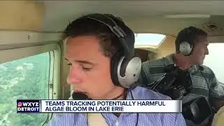 Potentially harmful algae bloom in Lake Erie