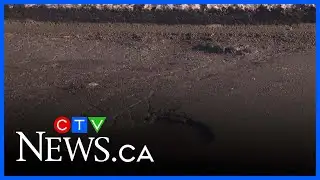 Potholes in Montreal are ‘catastrophic,’ says mayor