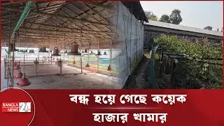 বন্ধ হয়ে গেছে কয়েক হাজার খামার | Poultry Crisis | Farmer Suffering