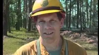 Power line causes Forsyth Township brush fire