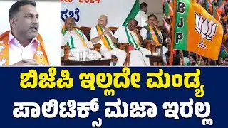 ಬಿಜೆಪಿ ಇಲ್ಲದೇ ಮಂಡ್ಯ | ಪಾಲಿಟಿಕ್ಸ್ ಮಜಾ ಇರಲ್ಲ | Preetham J Gowda | BJP + JDS | Lion Tv