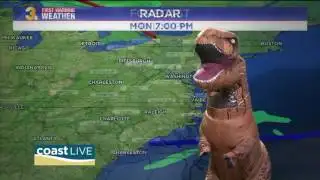 Prehistoric forecast