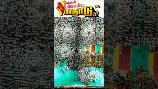 #premalatha vijayakanth#dmdk manadu 2.0#shorts#latestnews# தேமுதிக மாநாடு# கேப்டன் விஜயகாந்த்