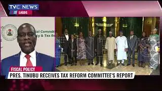 Pres. Tinubu Receives Tax Reform Committee
