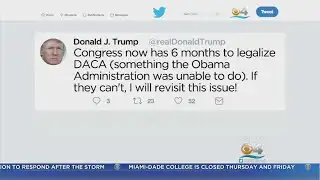Pres. Trump Sends Mixed Message On DACA Issue