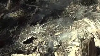 Prescribed Burn Turns Into Small Wildfire