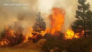 Prescribed Burning Planned Within Cougar Creek Fire Perimeter