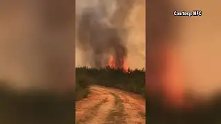 Prescribed burning program accepting applications in Mississippi