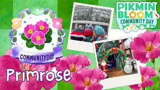Primrose Community Day, December 2025 【Pikmin Bloom】