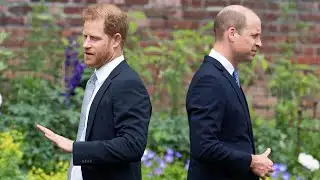 Prince William may consider reconciliation with Harry under ‘strict conditions’