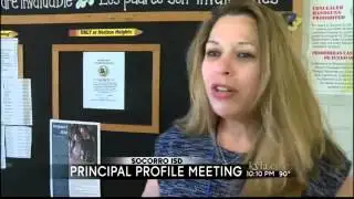 principal profile